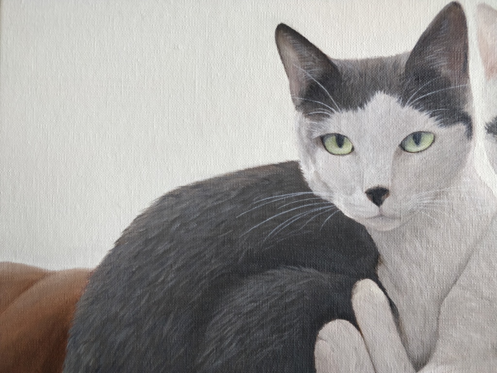 Portrait de chats peinture huile