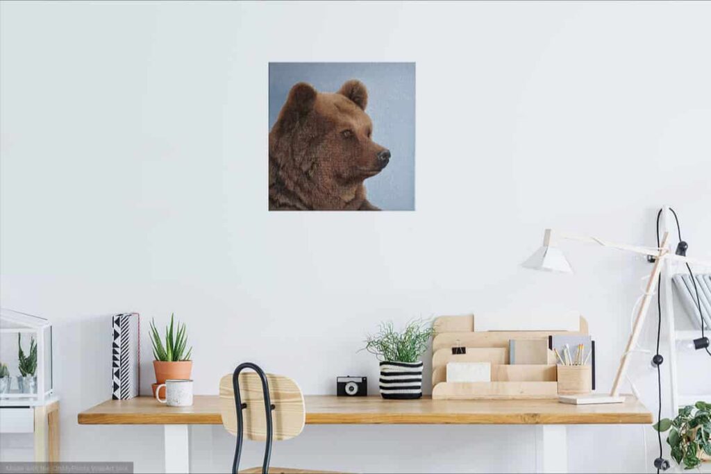 Portrait ours grizzli du Canada