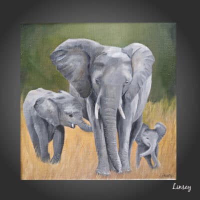 Famille d'éléphants